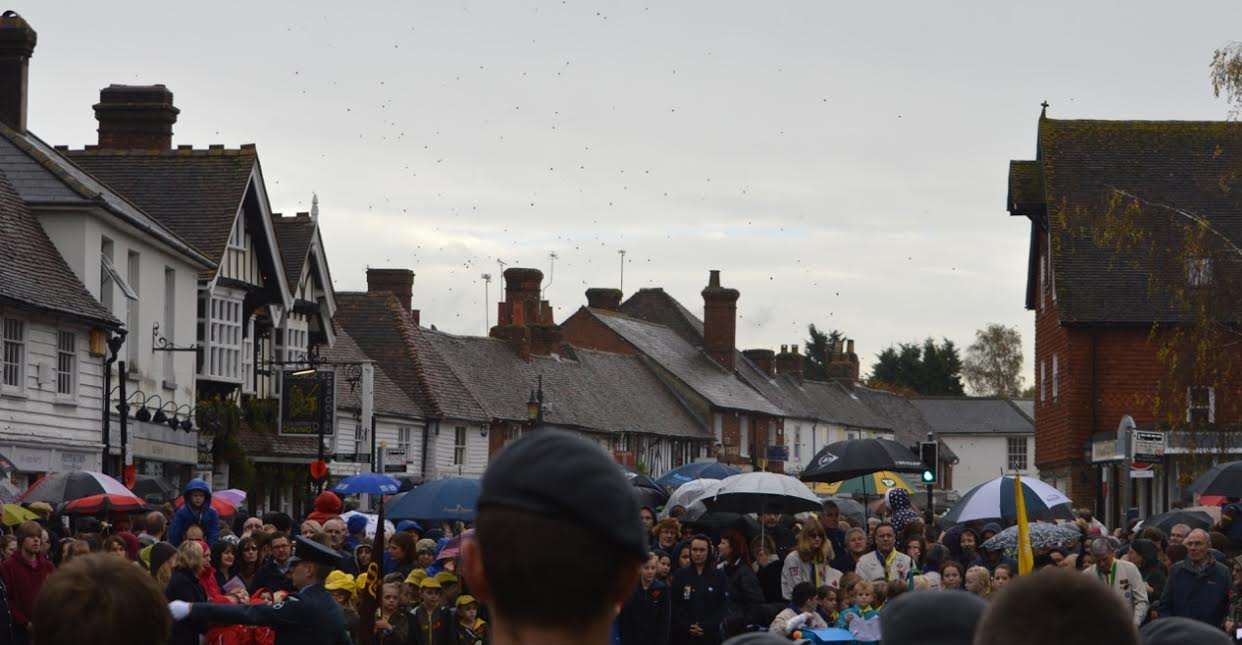 Poppies raining on Headcorn. Picture: Jane Armstrong