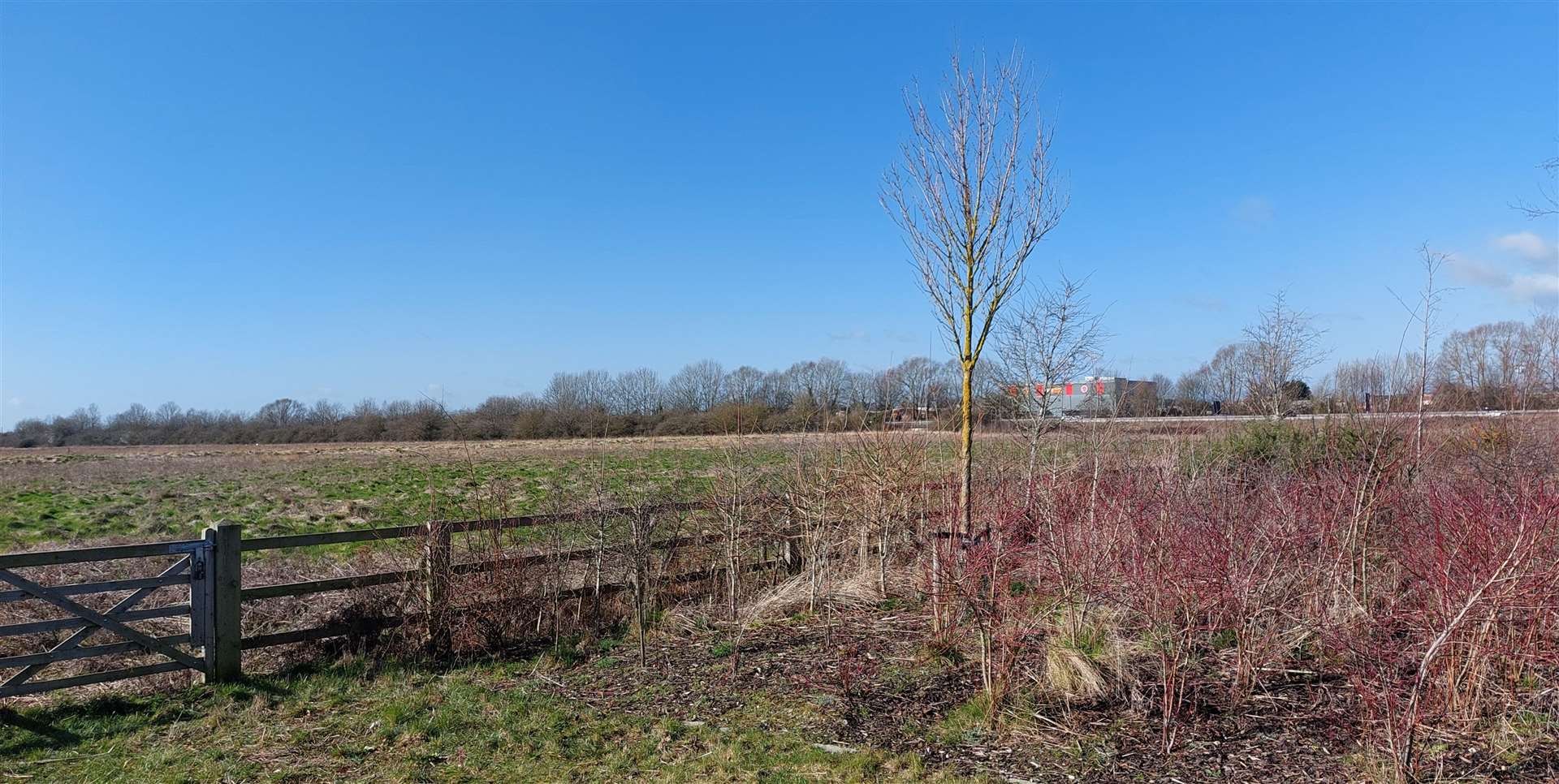 The site near Ashford Designer Outlet is currently empty