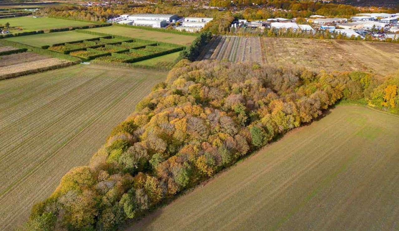 An area of ancient woodland known as Dead Man Wood will be retained