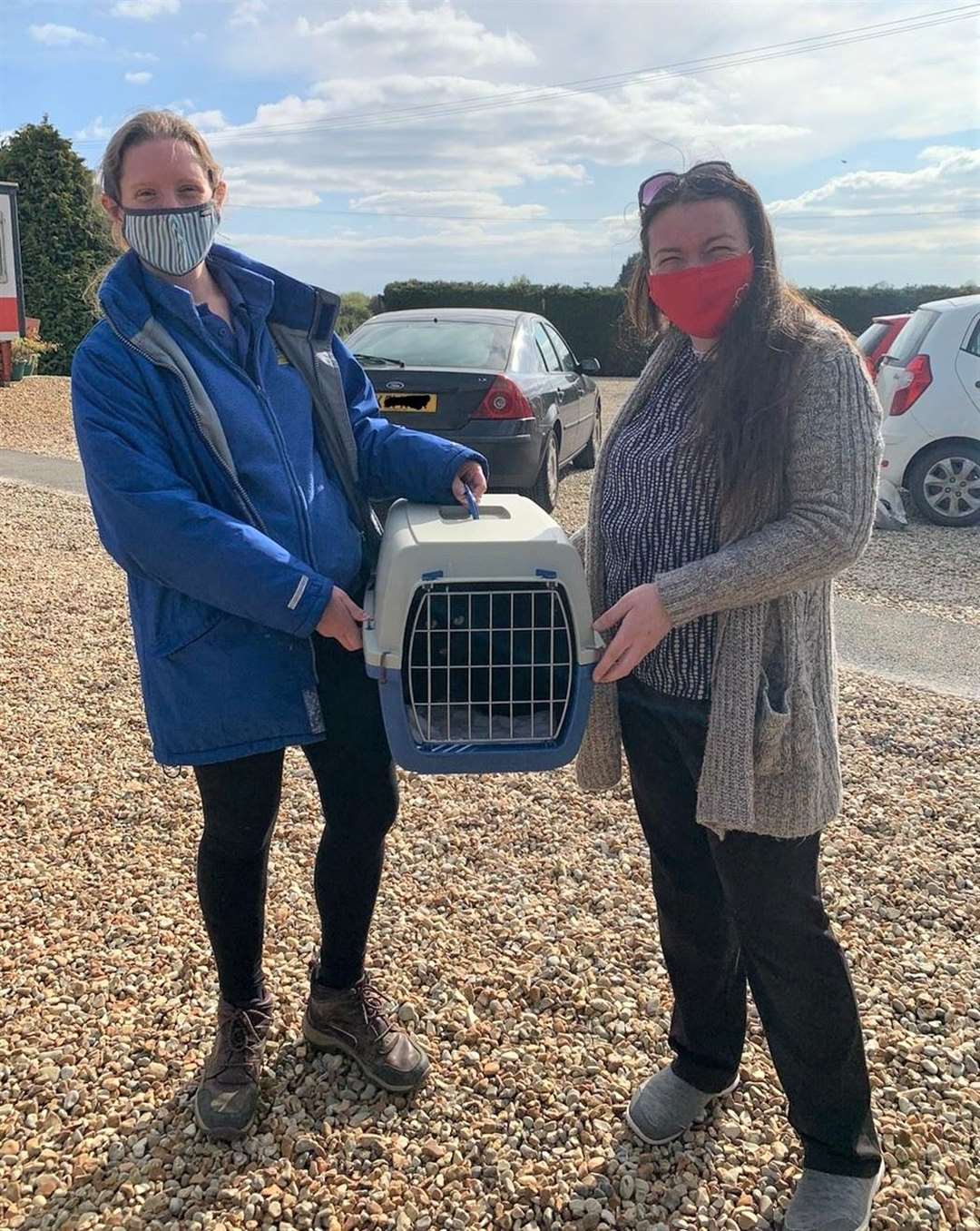 Rose the cat has been reunited with owner Gemma Barbieri 13 years after she went missing (Cats Protection/PA)