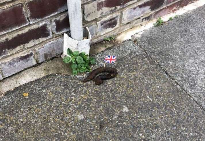 Residents across the town have seen the decorated dog poos. Picture: Stacey Kember