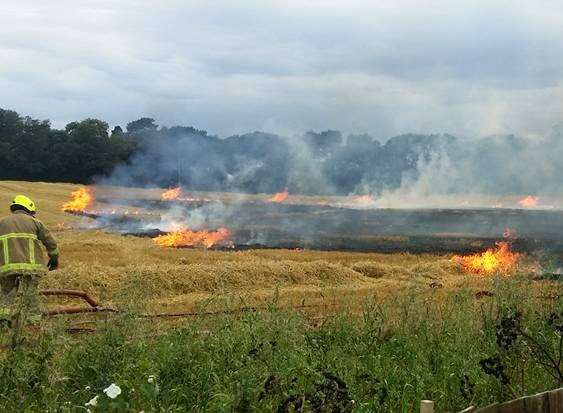 The field fire Picture: Matthew English