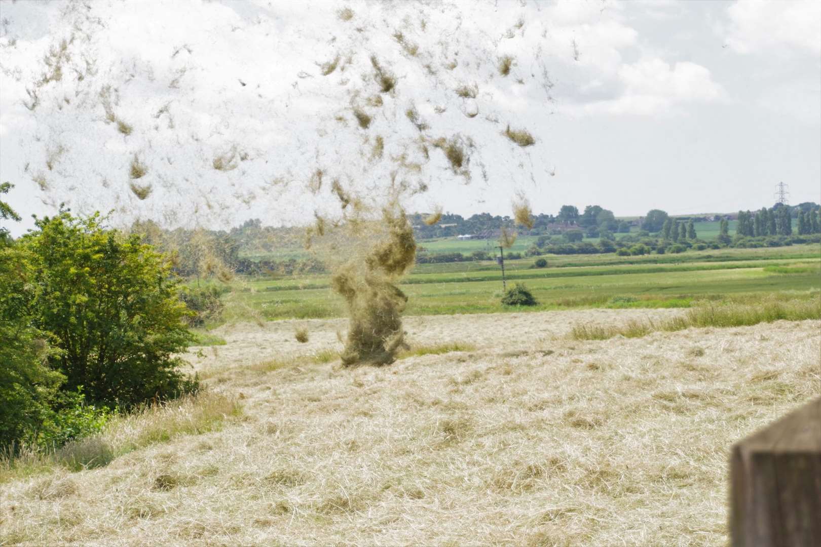 Grass was thrown into the air by a dust devil near Sandwich. Picture: Andy Vilday