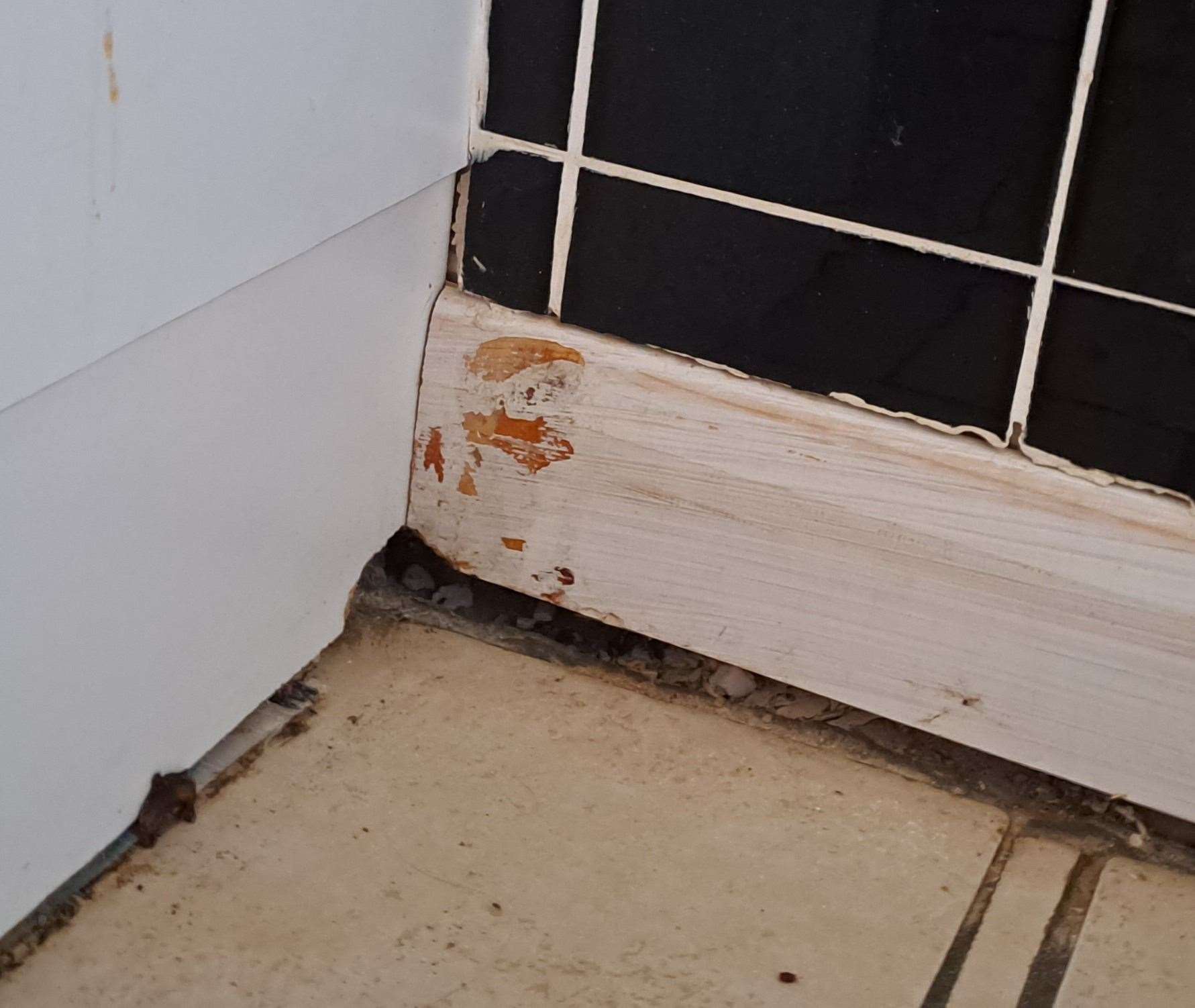 A floor gap in the kitchen which Miss Evans believes the rats have come through