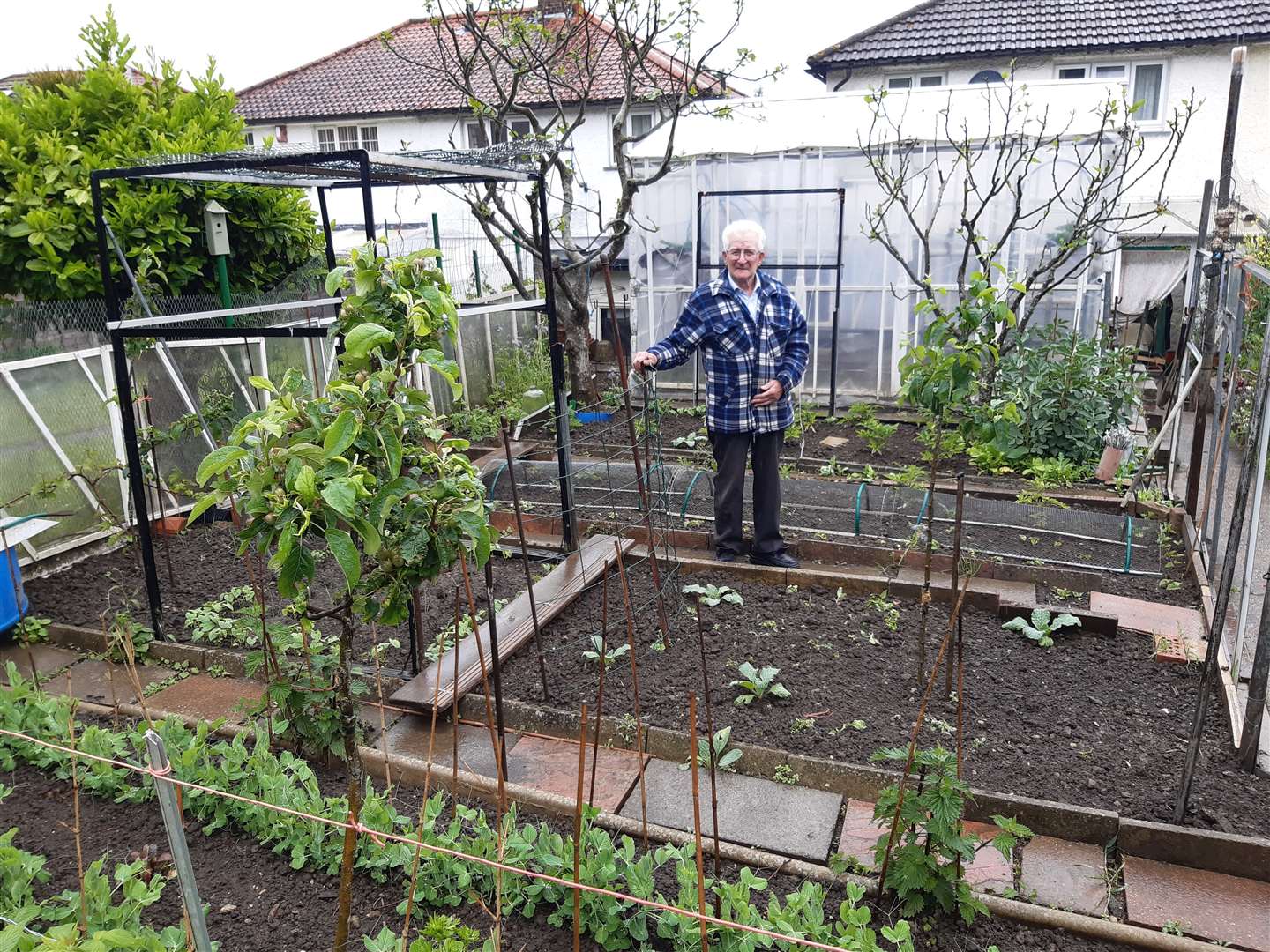Carlo Attubato in his vegetable garden in Tovil (47882941)