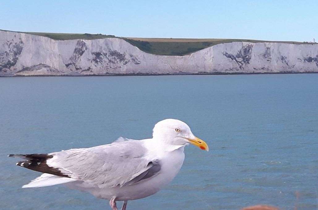 The crossing became a regular trip for reporter Sam Lennon