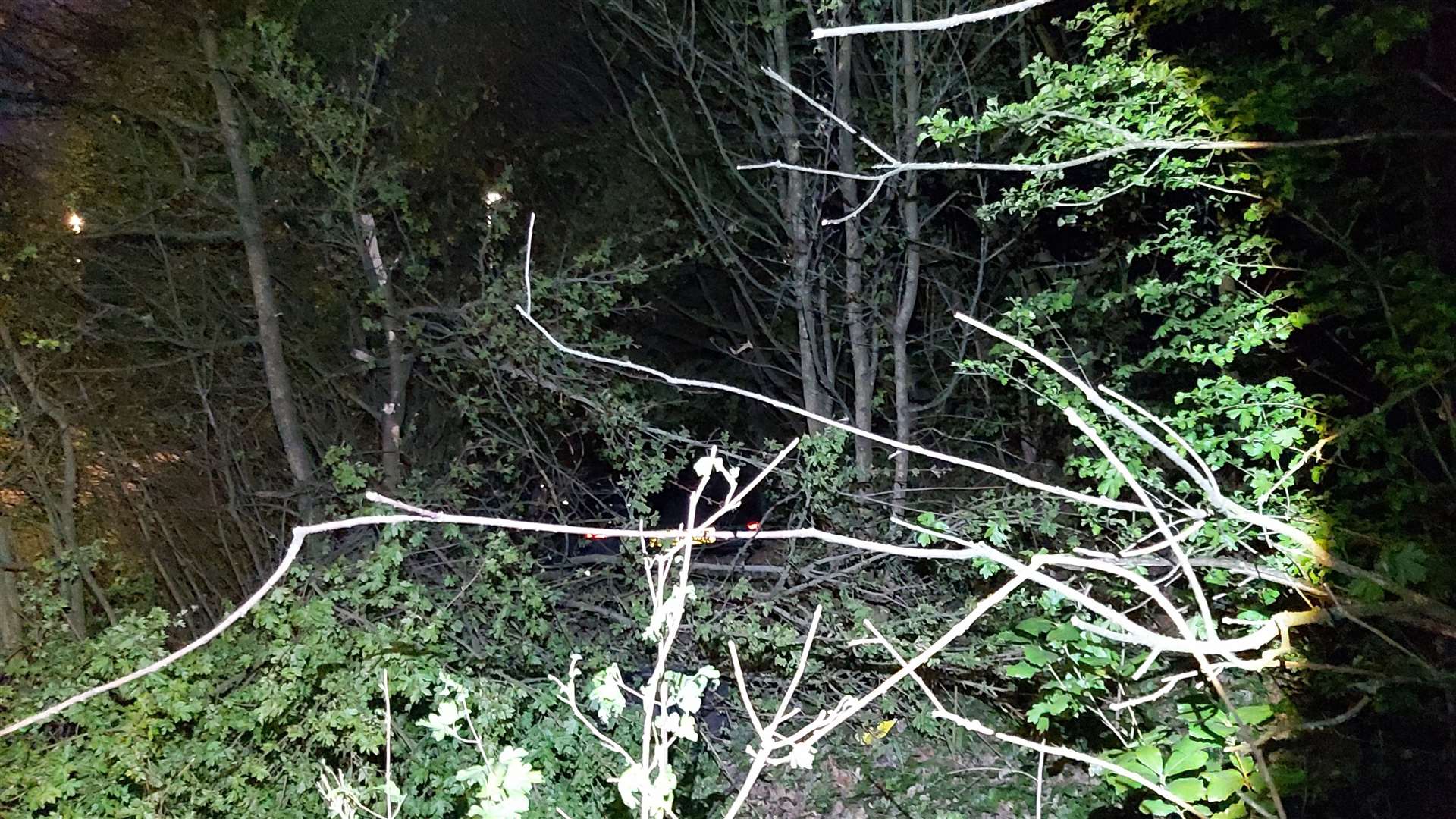 The car was buried deep in the undergrowth. Picture: Kent Police