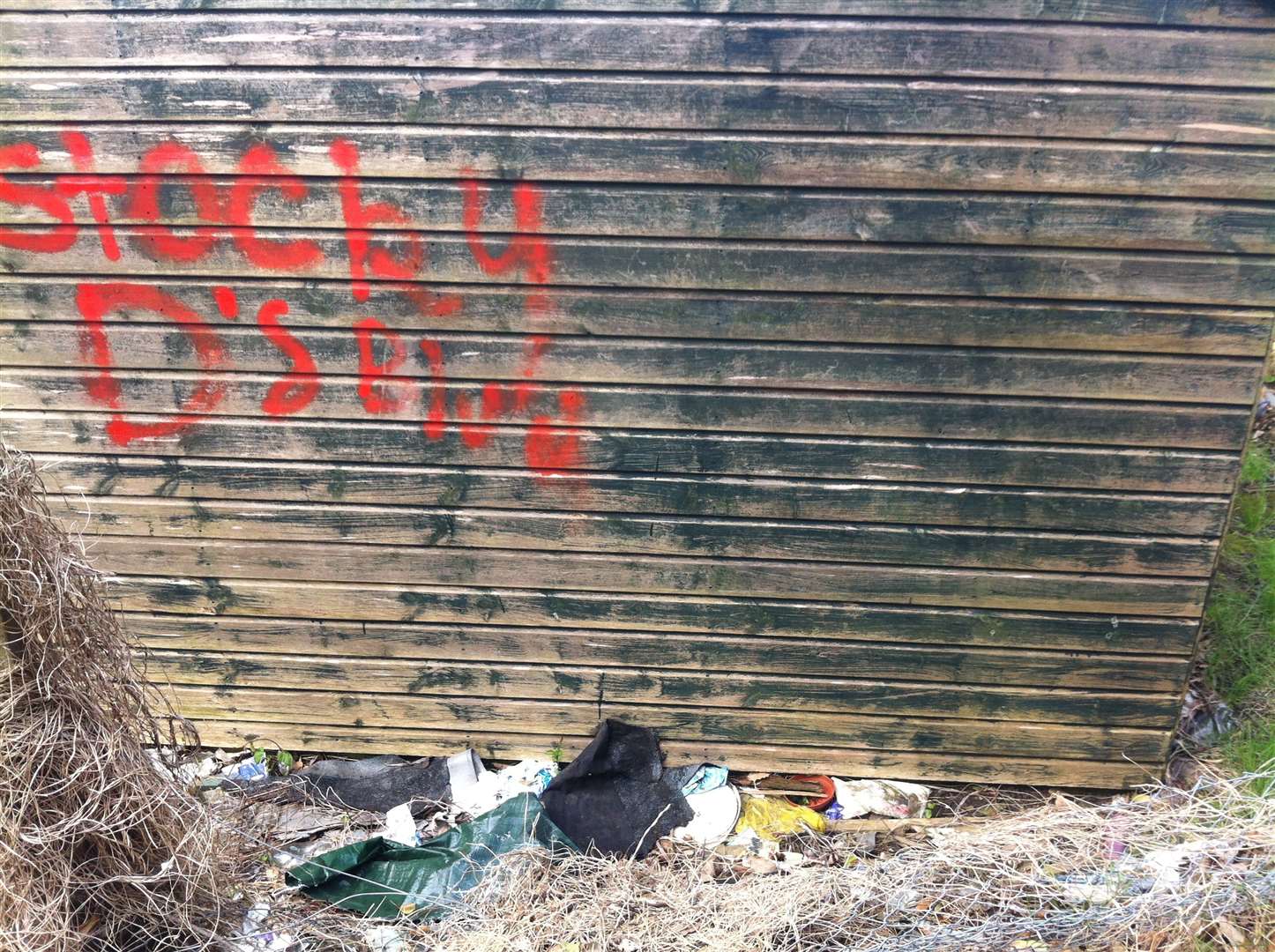 Litter and graffiti behind Stockdale Gardens