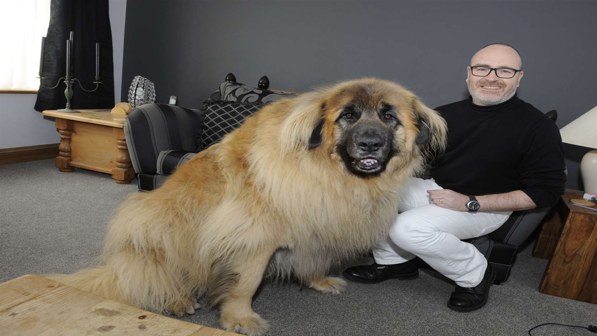 Designer Drew Selman with his dog Sampson. Picture: Tony Flashman