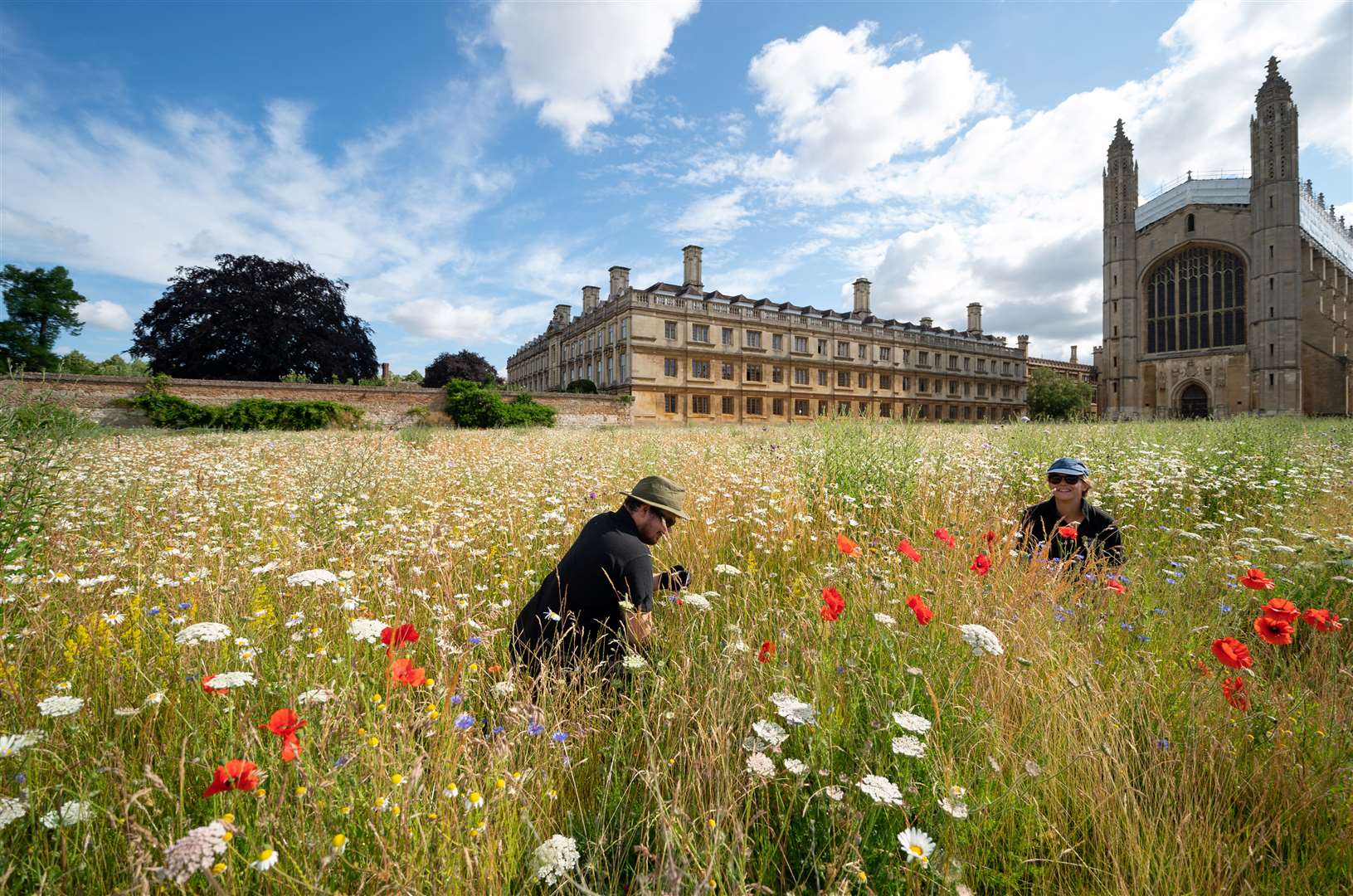 Gardeners Toby and Charlotte in the wildflower meadow at King’s College in Cambridge in June (PA)