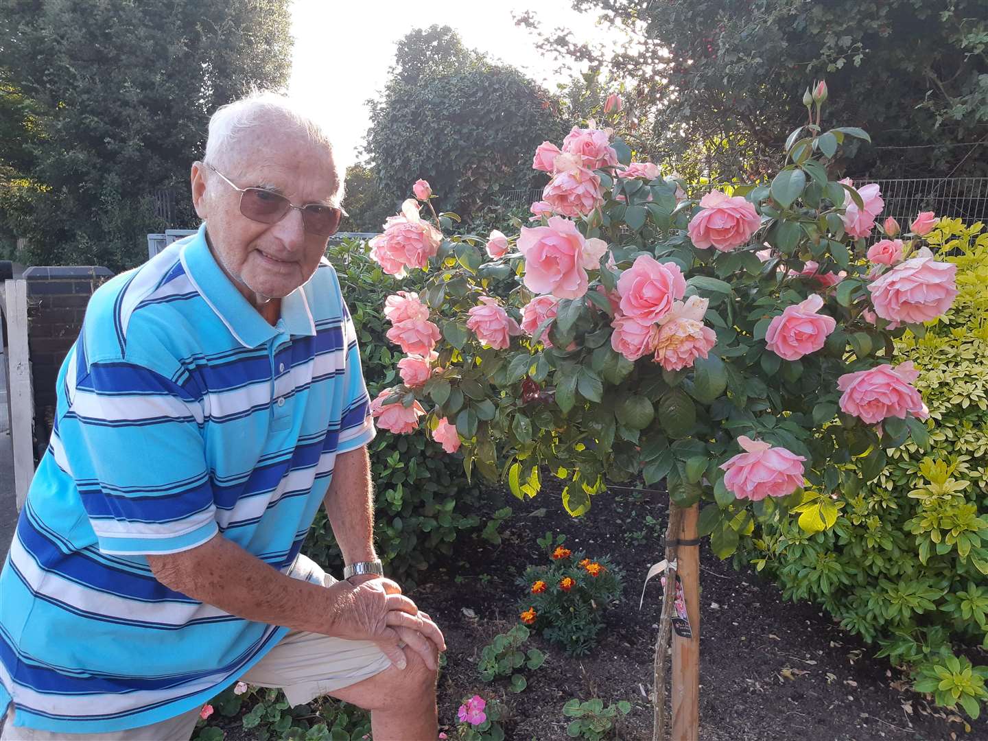 Avid gardener Dougie Brooks is most proud of his rose bush (3925071)