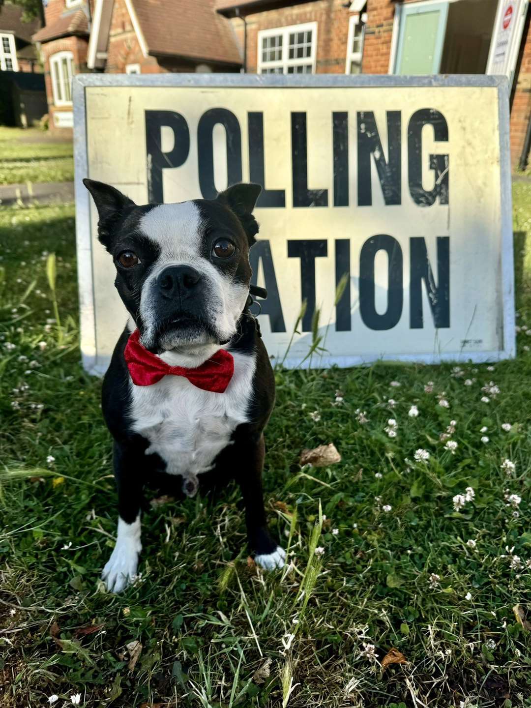 Helen Montague’s dog Heston outside Marden polling station in Kent (Helen Montague/PA)