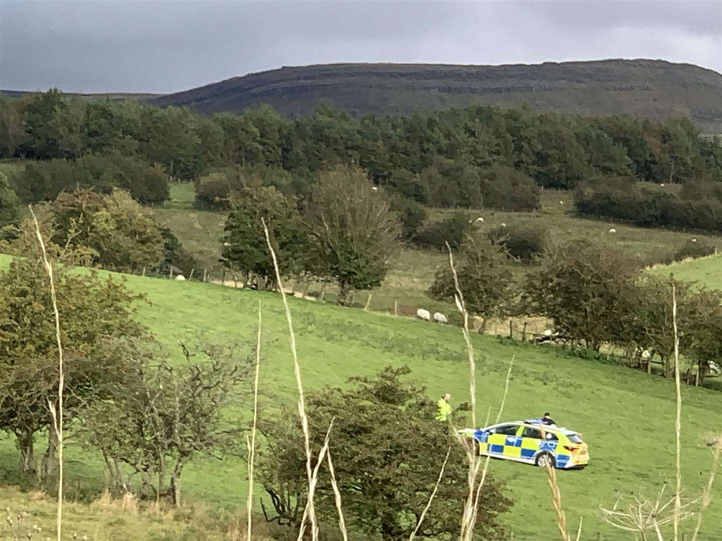 Police at the farm in the Warcop area of Cumbria (Frank Chalmers/PA)