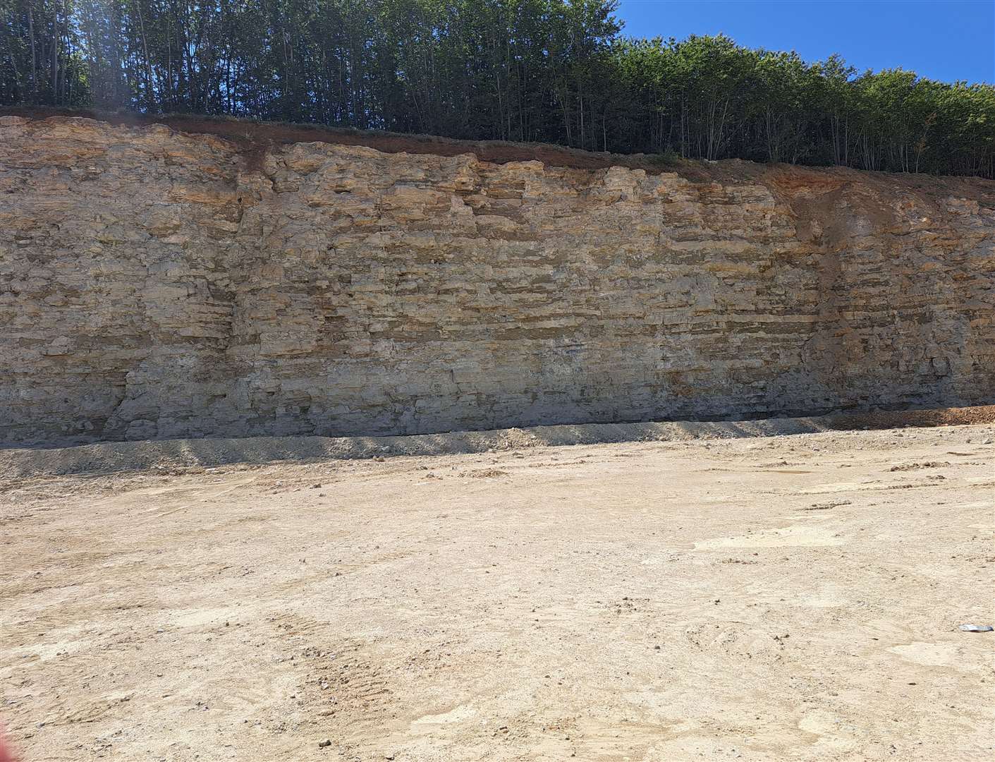 The edge of the current void at Hermitage Quarry, with the ancient woodland on top