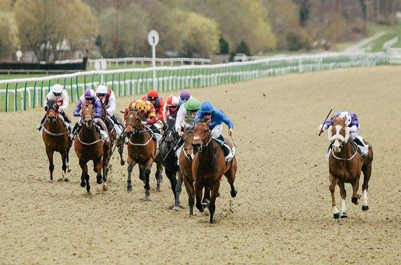 Lingfield Racecourse will be hosting its annual Ladies Evening with an Abba tribute band this July, followed by two more weekends of live music