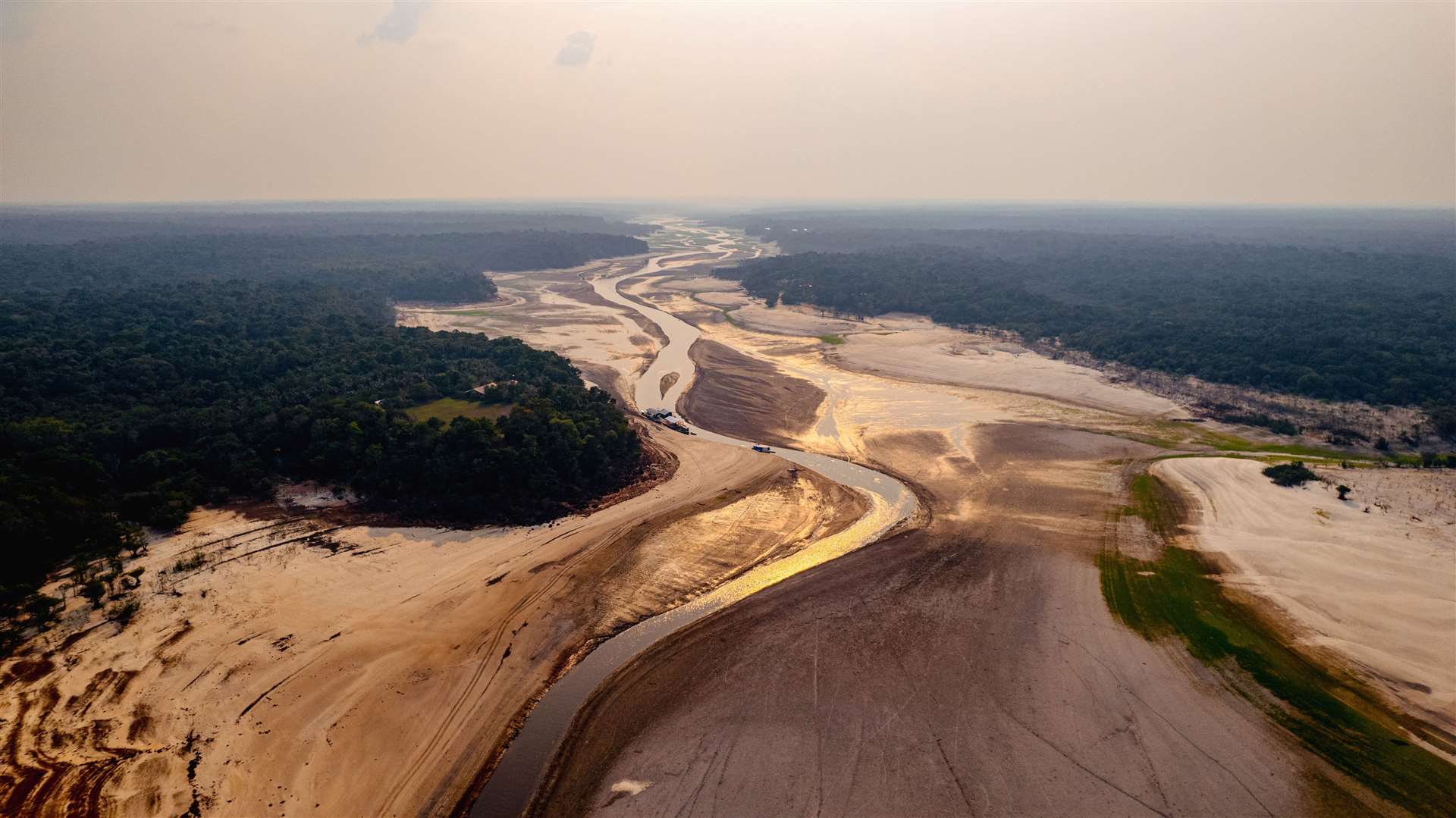 The Manaus region has suffered most from the drought that has spread across the Amazon in recent months (Jacqueline Lisboa/WWF-Brazil/PA)