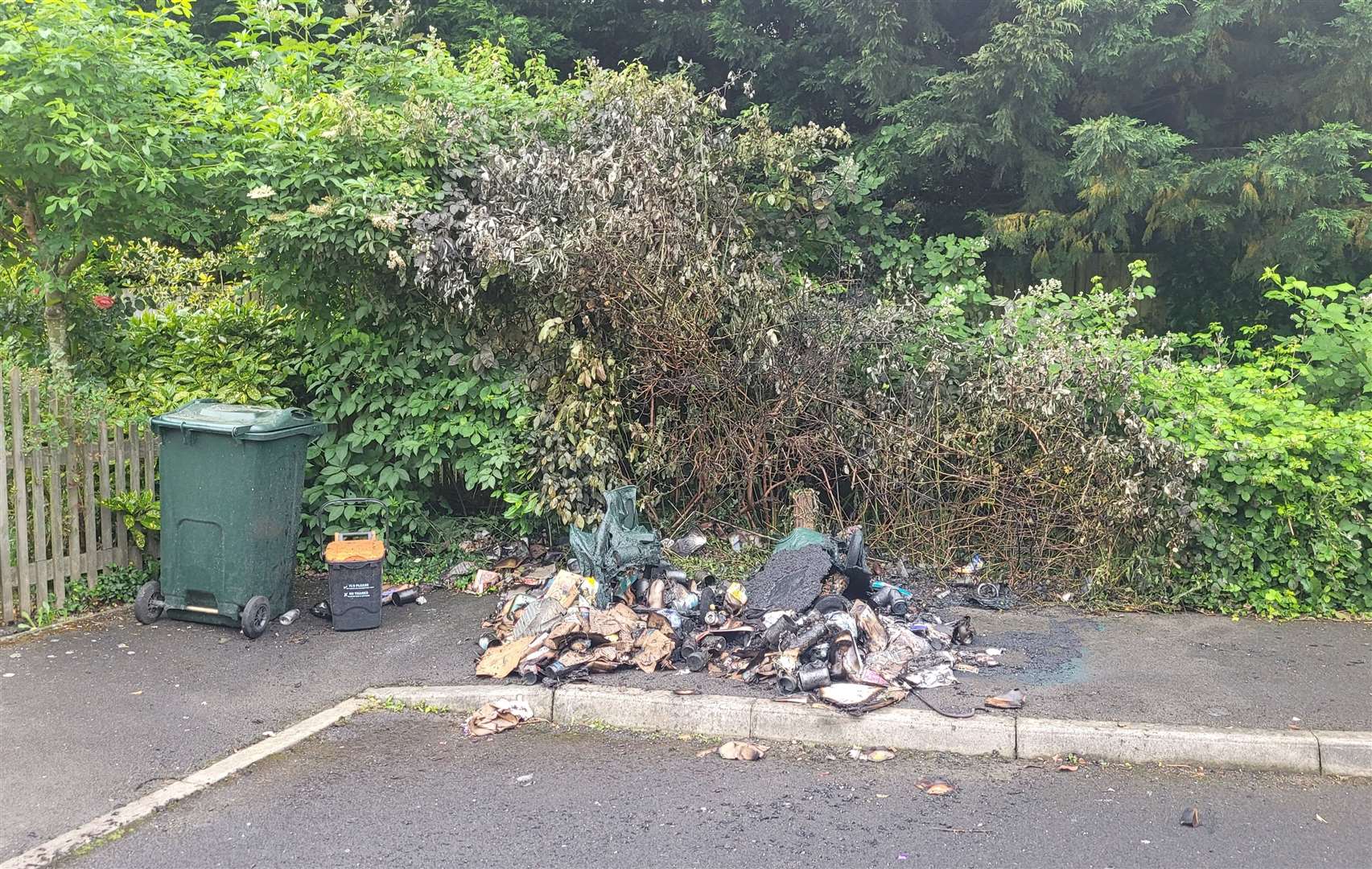 The bins were on fire at the bottom of Hillbrow Lane