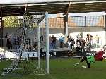 Ryan Hayes's winner finds the corner of Harlow's goal. Picture: Matthew Evans