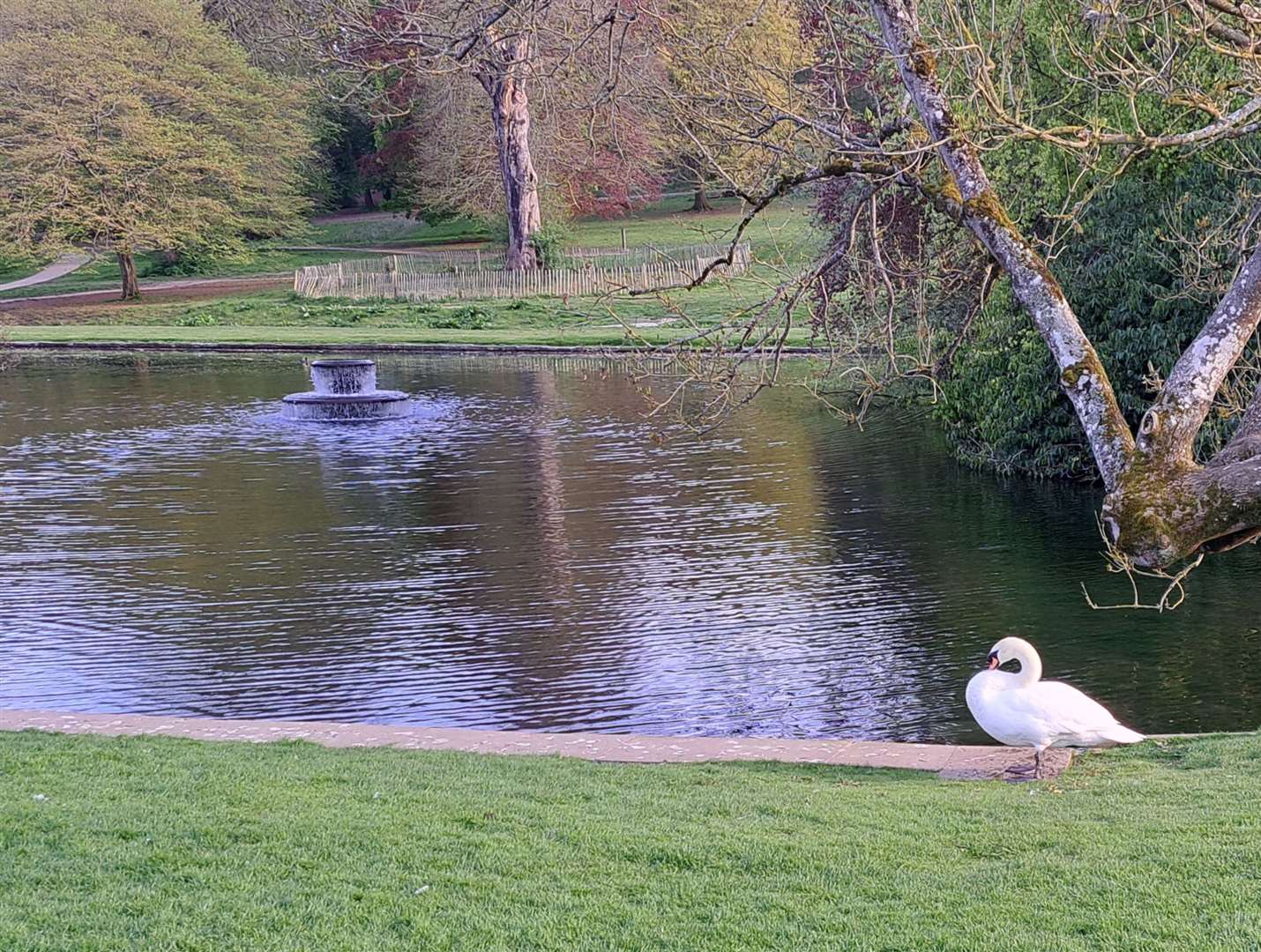 Kearsney Abbey is a popular beauty spot, just outside Dover