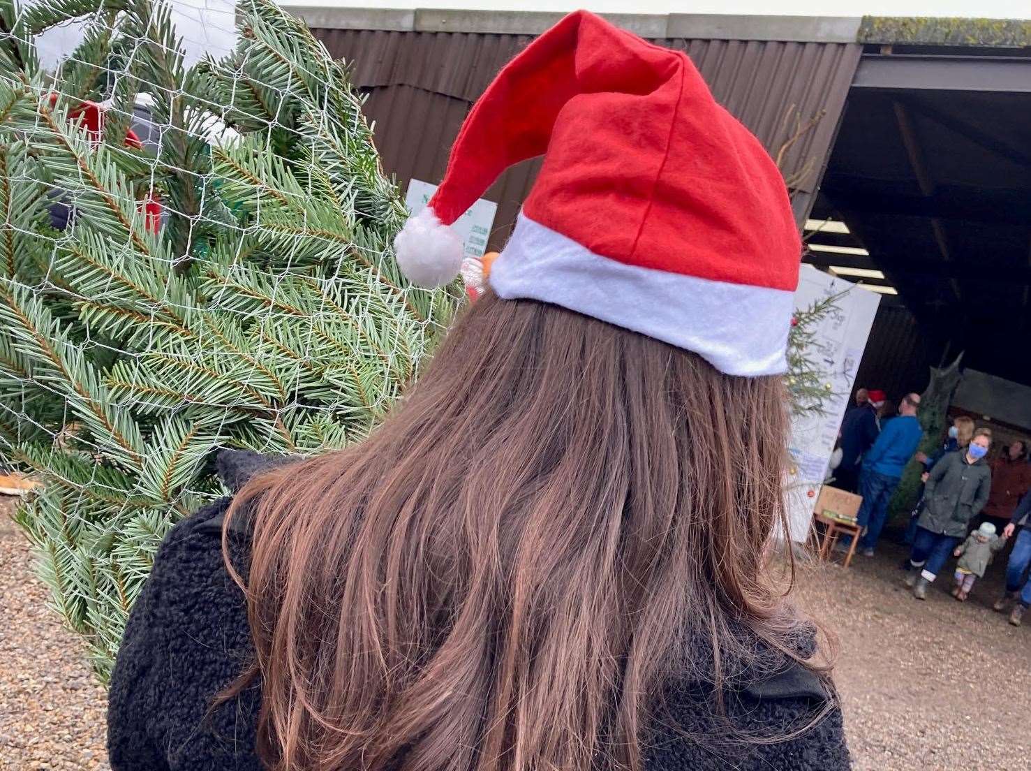 A tree being collected from Kingswood Christmas Trees. Picture: Simon Finlay