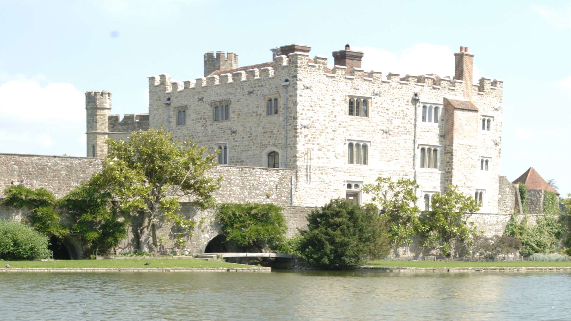 Black swans at Leeds Castle