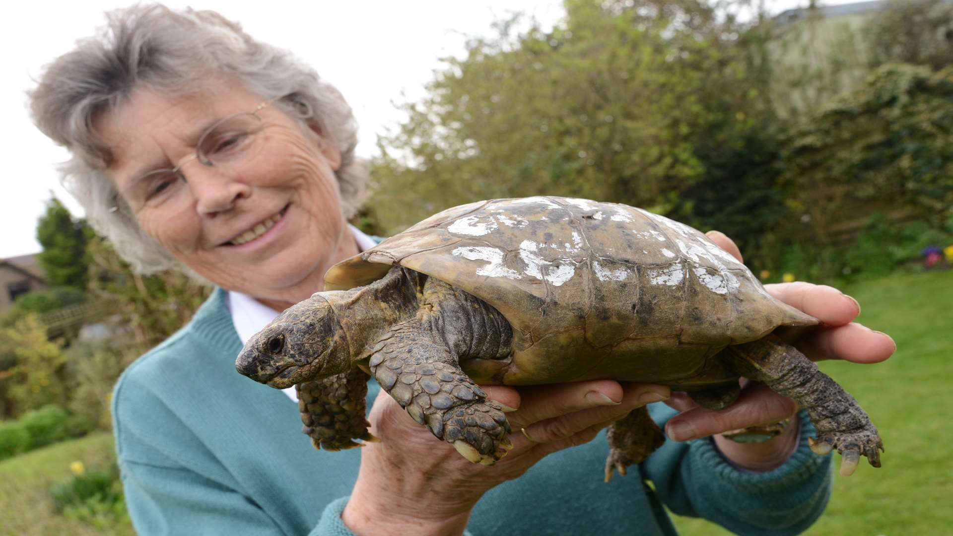Wendy Stokes has been reunited with Toby the tortoise
