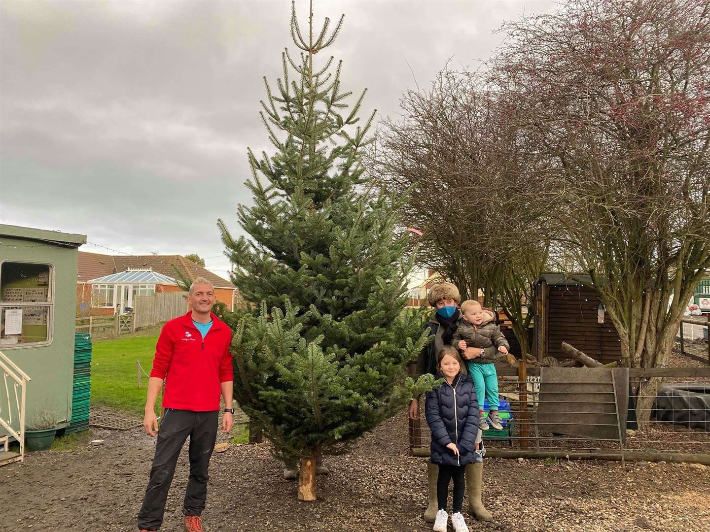 Curly's Farm at Bay View Sheppey receives a giant Christmas tree from Stones Garden Centre in Sheerness