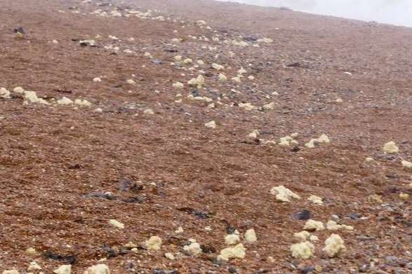 Suspected palm oil on the beach was found to be whelk egg cases