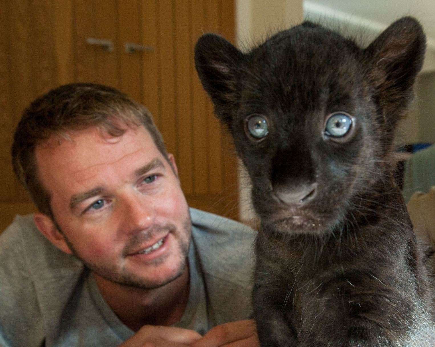 Giles Clark with Maya the jaguar on the Big Cats About The House programme. Picture: BBC