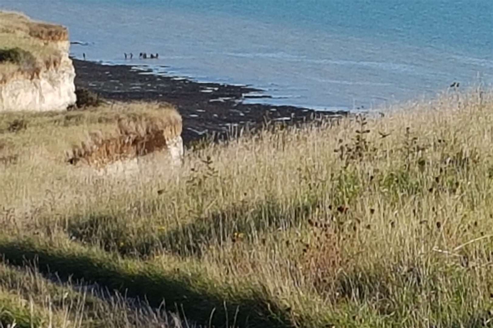 Emergency services are working to locate and recover a body St Margaret's Bay