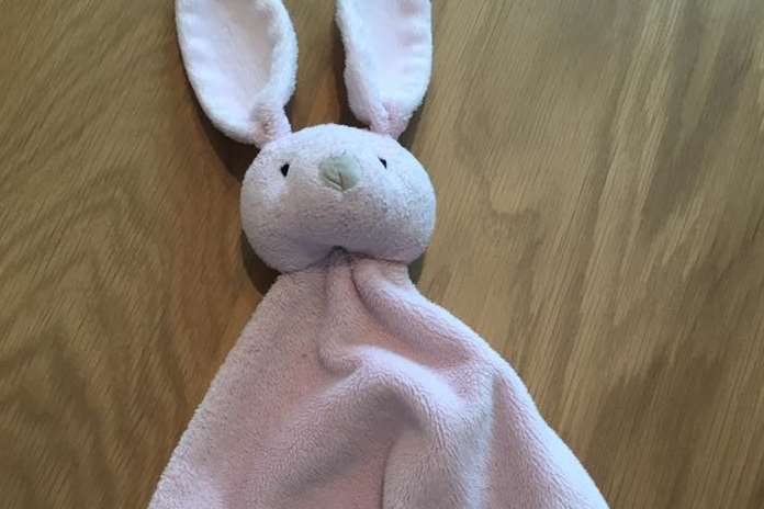 Melissa Cavell posted this picture on Facebook to reunite the girl with her bunny