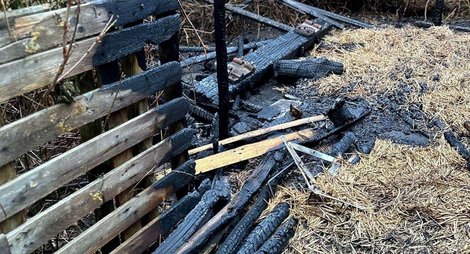 The damage at Cheriton Primary School led to the majority of the site's forest school area becoming engulfed in the blaze. Picture: Cheriton Primary School