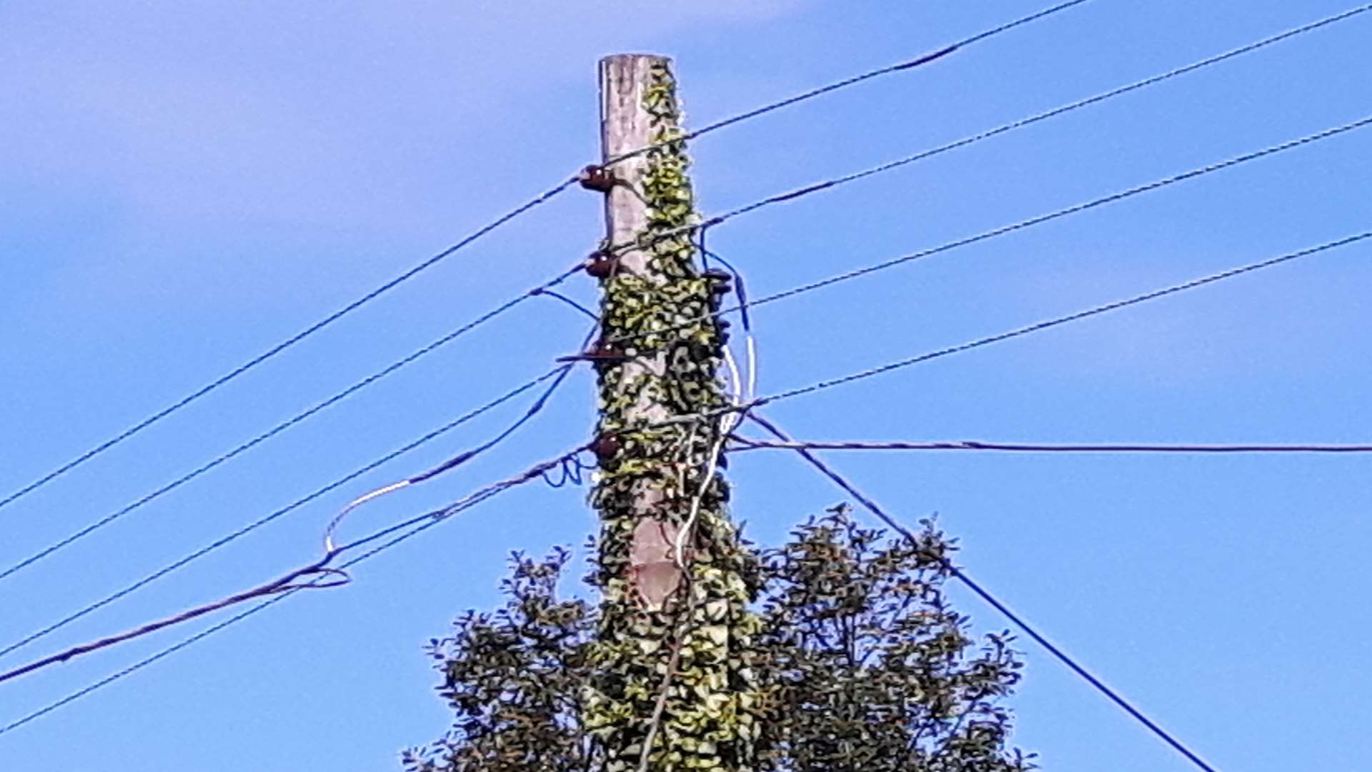 Power lines are down. Stock photo.