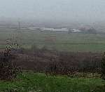 Cliffe marshes