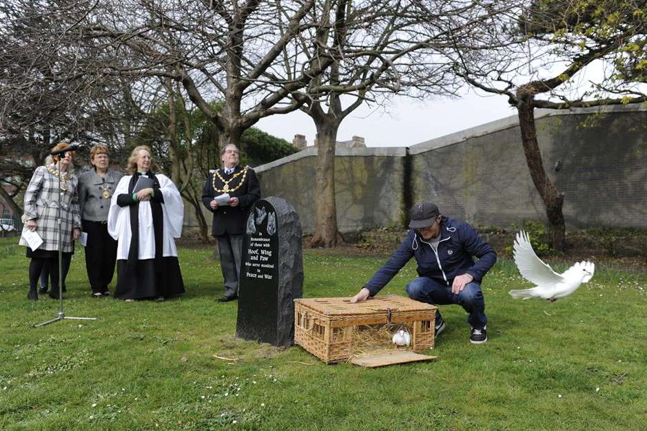 White pigeons were released as a symbol of peace