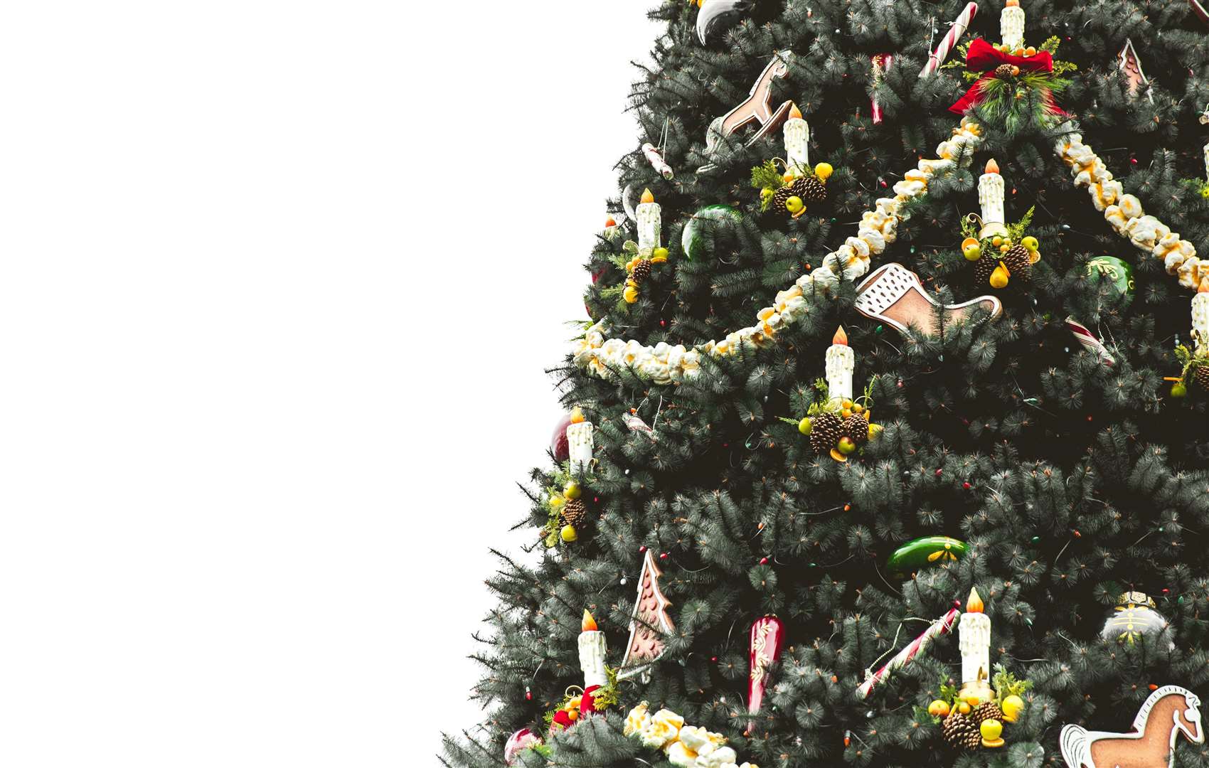 It's time to get rid of your Christmas tree