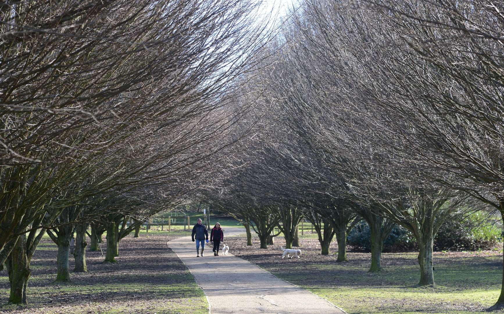 Cobtree Manor Park is one of the parks affected by the new rules. Picture: Gary Browne