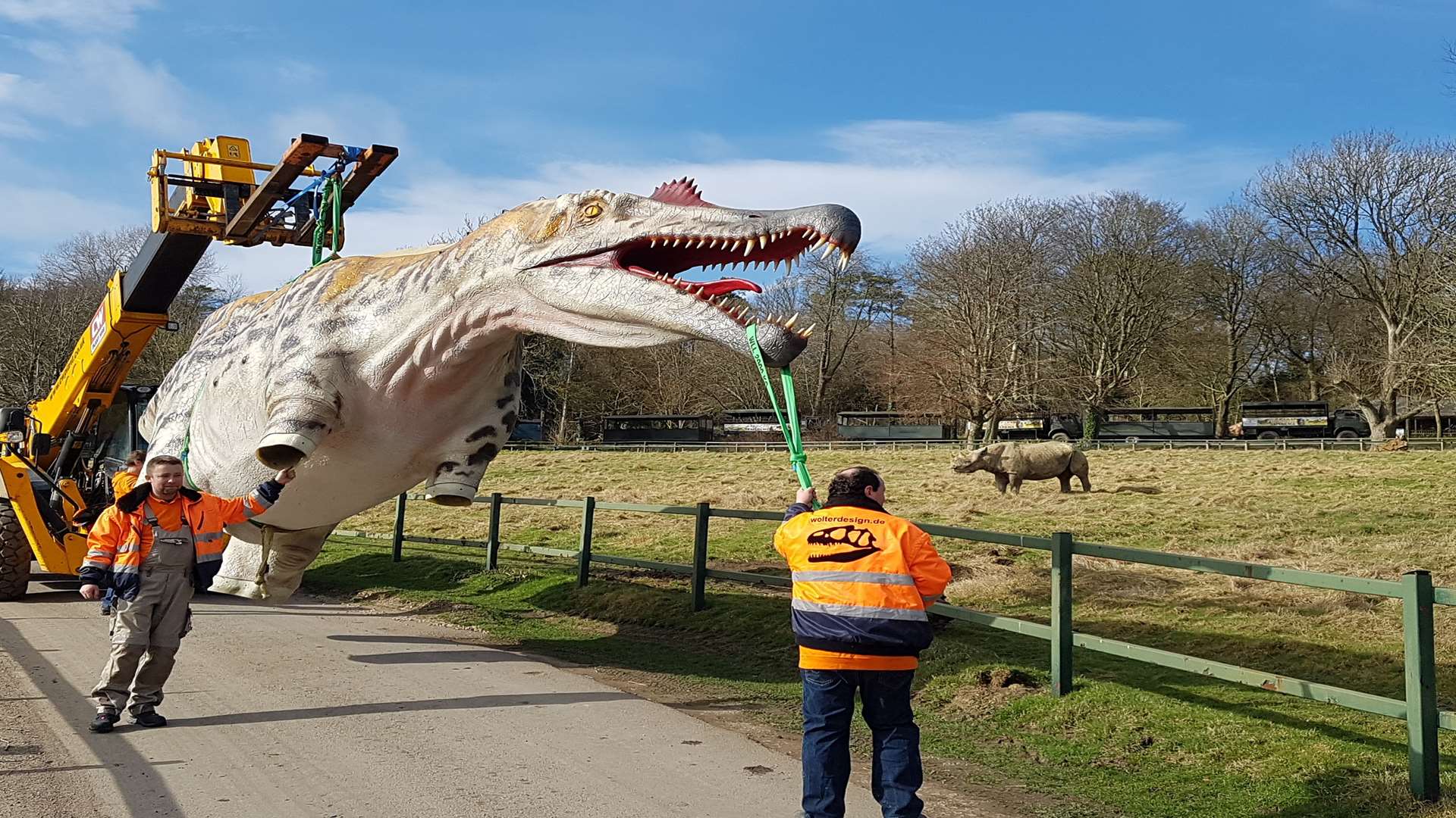 Incoming! The Spinosaurus heading to the Dinosaur Forest