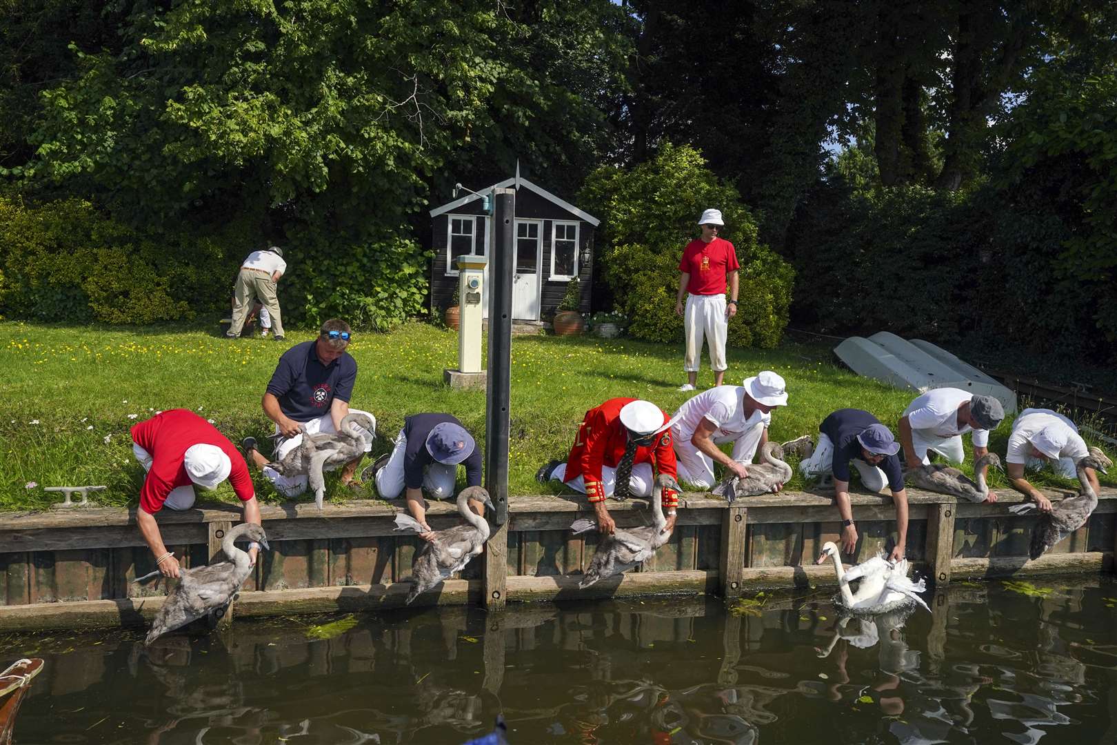 The Queen’s swan marker, David Barber, kneeling centre, is joined by Swan Uppers to inspect swans (Steve Parsons/PA)