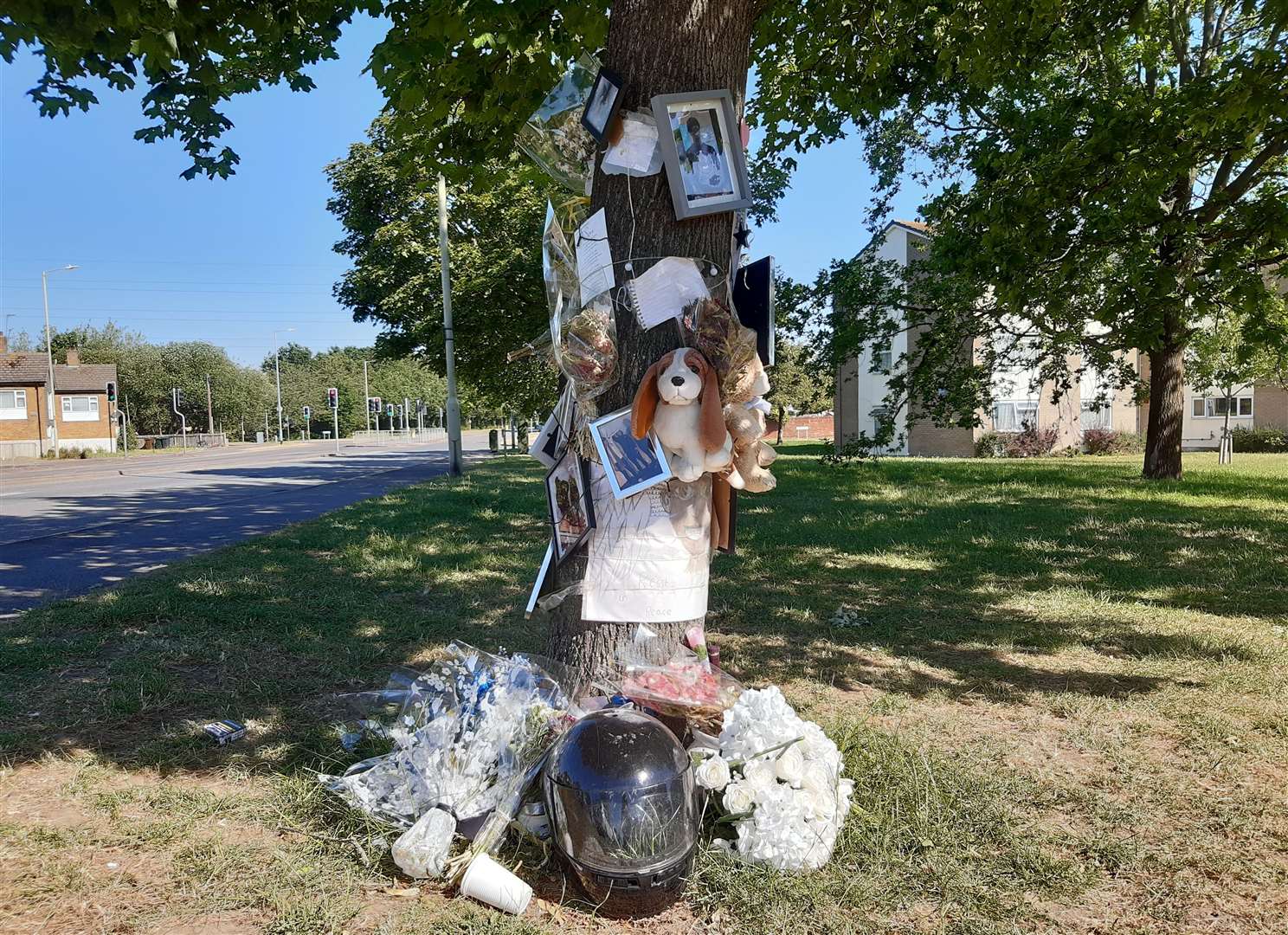 A tree off Brookfield Road became covered in tributes last year
