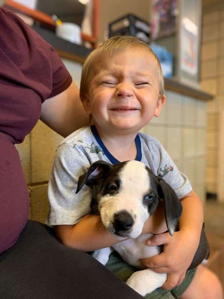 Bentley and his family brought Lacey home from the shelter on Friday (Jackson County Animal Shelter)