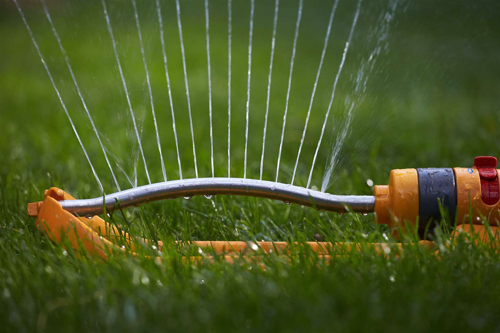 High watering. Irrigation System in Evening.