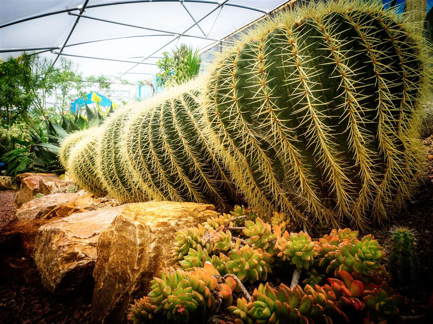 The World Garden has been open at Lullingstone Castle for 15 years Picture: Alan Graham