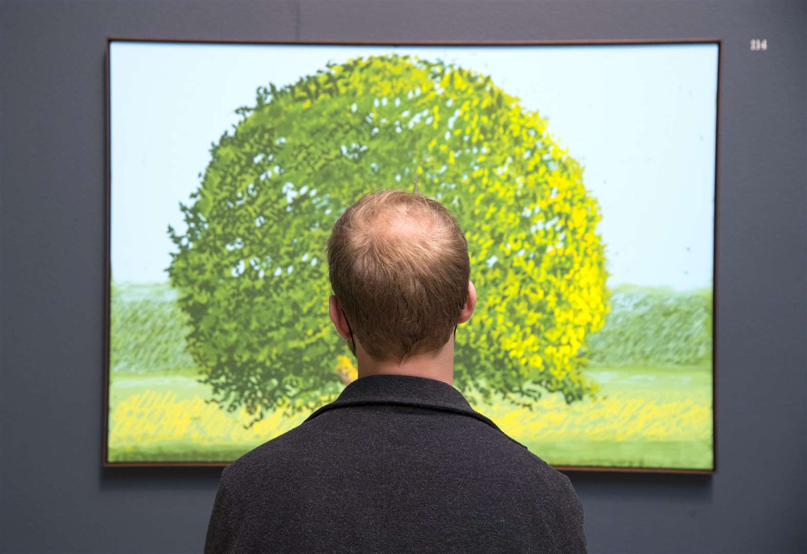 Someone looks at David Hockney: The Arrival of Spring, Normandy on display at one of the two new exhibitions at the Royal Academy (Ian West/PA)