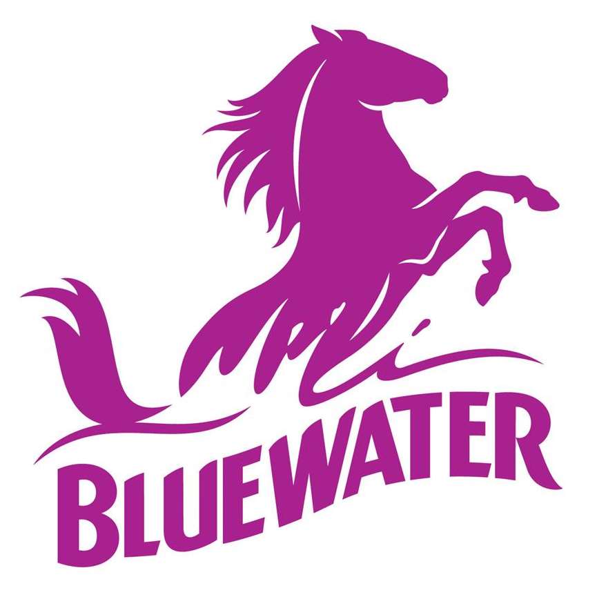 Bluewater logo