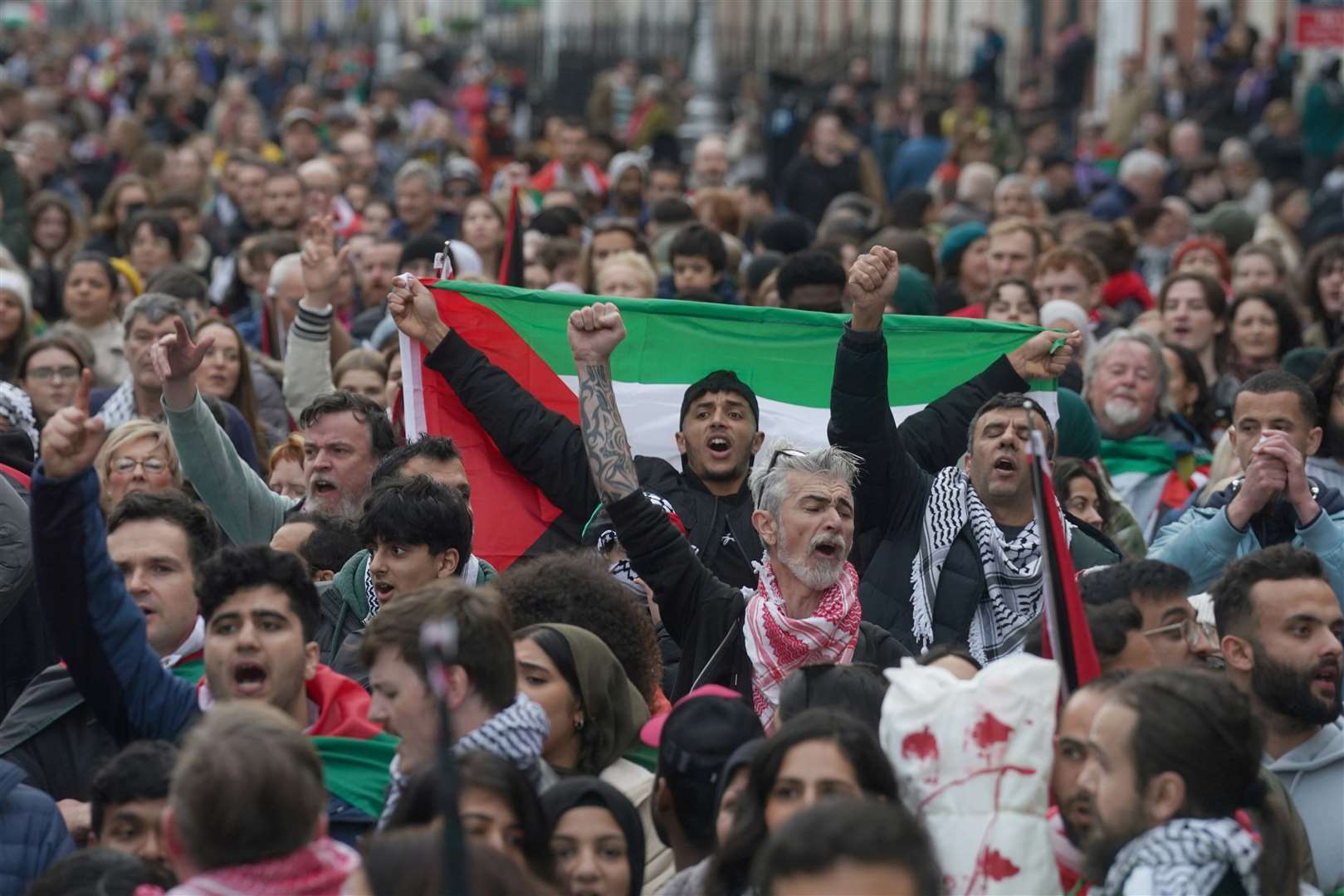 Protesters during a pro-Palestine rally in Dublin (PA)