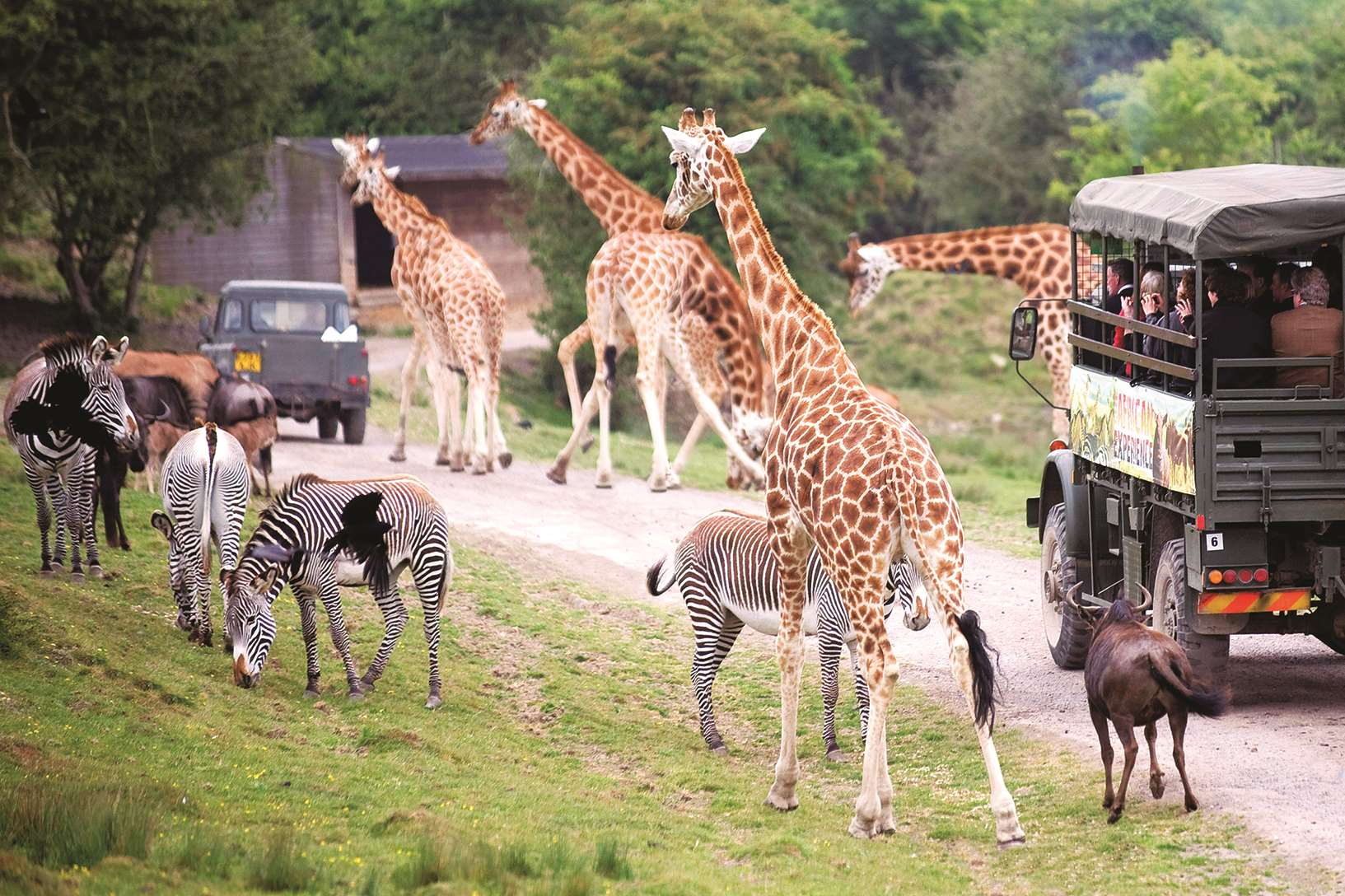 Port Lympne, near Hythe