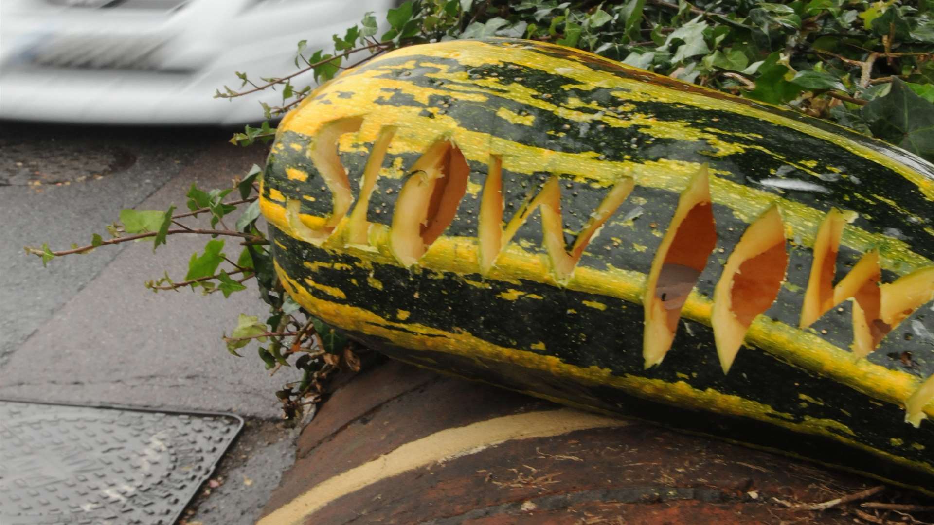 Speeding messages were carved by Chapel Street residents. Picture: Steve Crispe