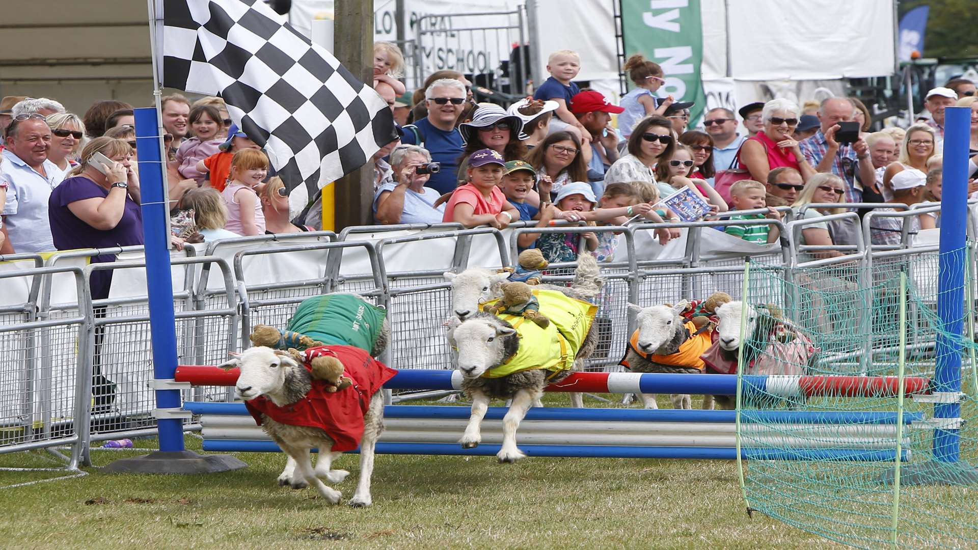 The Lamb National in full swing