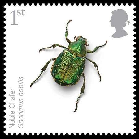 The new Royal Mail stamp featuring the Noble Chafer beetle